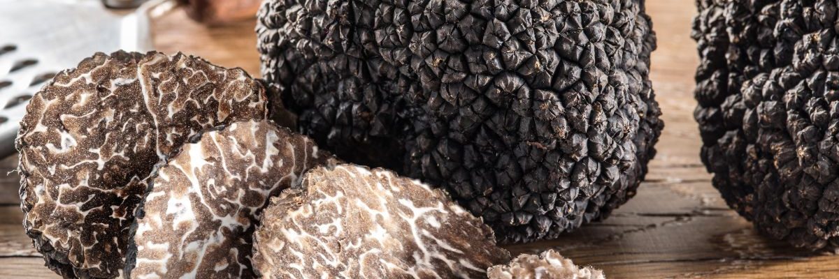 Où et comment dénicher des truffes noires en France quasiment à coup sûr ?