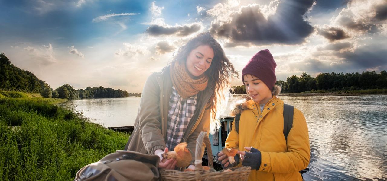 Quels sont les champignons comestibles en Centre-Val de Loire ?