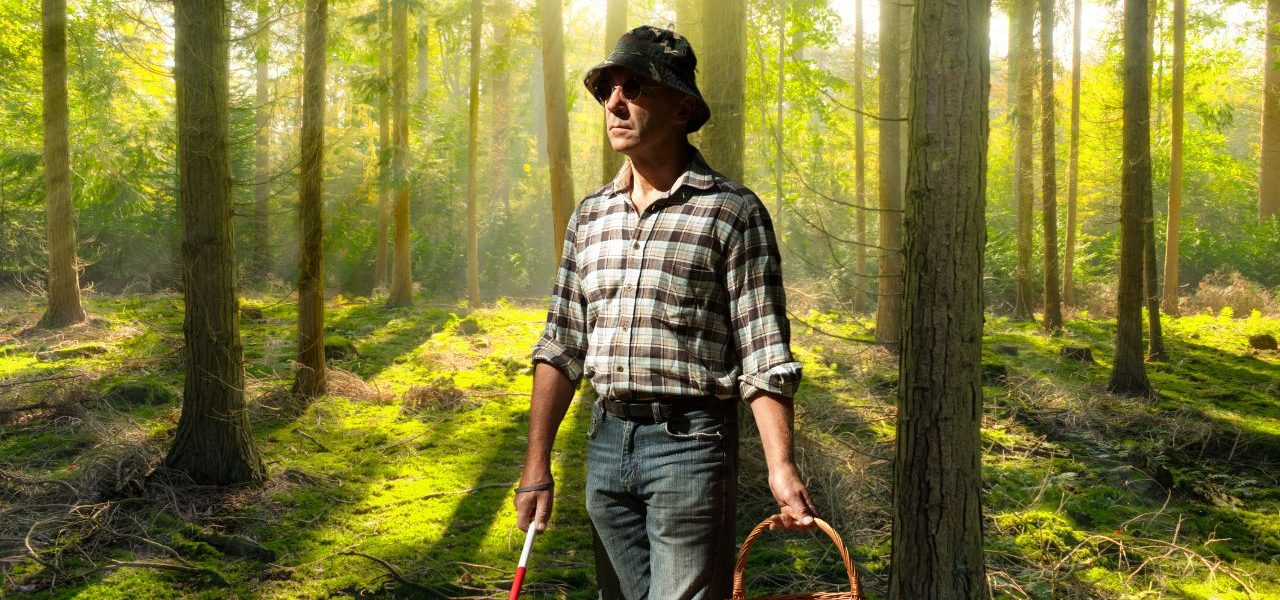 Quels sont les champignons comestibles en Picardie ?