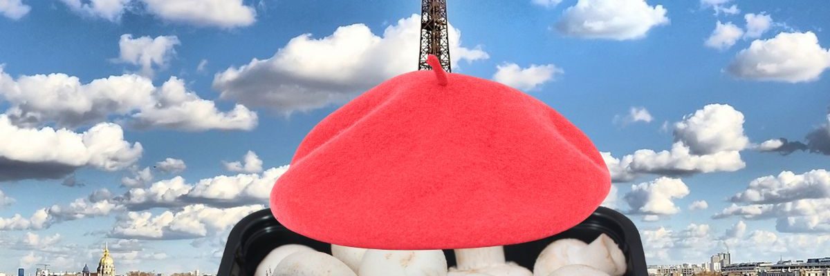 Mais qui es-tu vraiment champignon de Paris ?